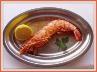 Langostino jumbo