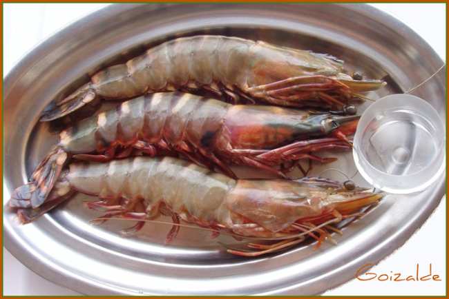 Langostinos3